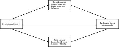 The Association Between Perceived Risk of COVID-19, Psychological Distress, and Internet Addiction in College Students: An Application of Stress Process Model